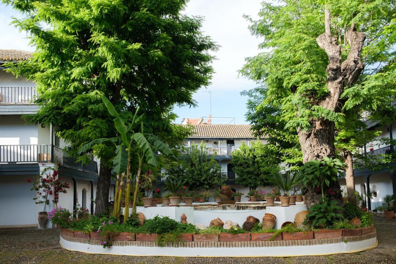Vista Corral Del Conde Lägenhet Sevilla Exteriör bild